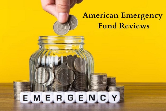 Loan emergency funds