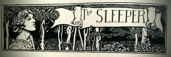 The sleeper edgar allan poe meaning