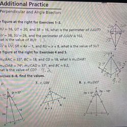 Practice a perpendicular and angle bisectors