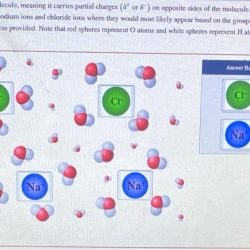 Partial molecule charges hydrogen polarity positive