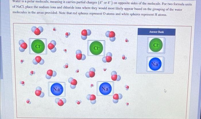 Partial molecule charges hydrogen polarity positive