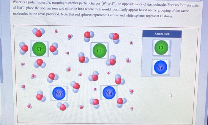 Partial molecule charges hydrogen polarity positive