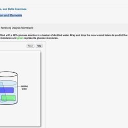 Pre-lab video coaching activity diffusion and osmosis