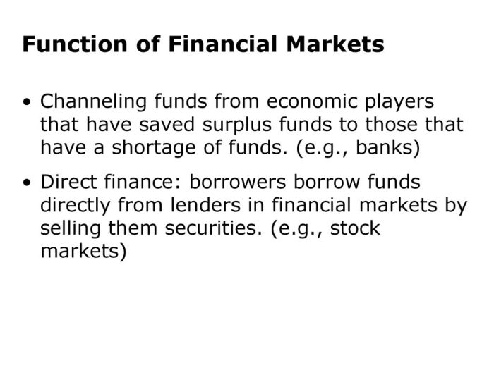 Financial markets channeling funds quick check