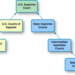 Double take dual court system icivics answer key