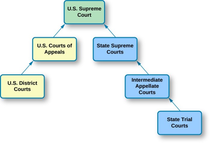 Double take dual court system icivics answer key