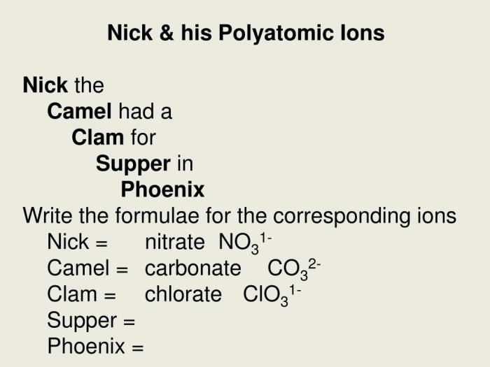 Nick the camel ate a clam for supper in phoenix