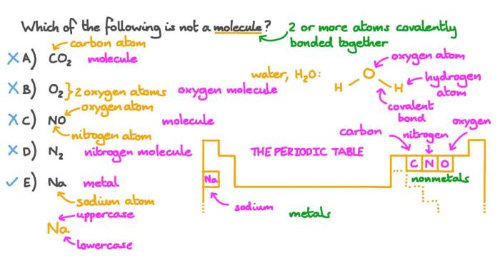 Molecules concepts transcribed