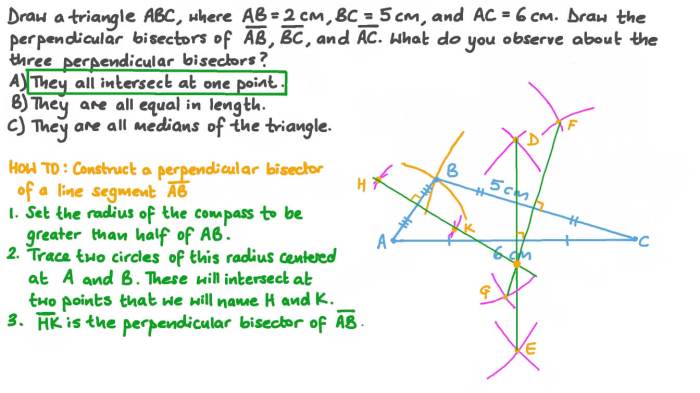 Practice a perpendicular and angle bisectors